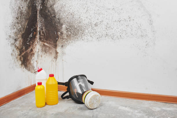 Crawl Space Mold Removal in Roanoke, VA