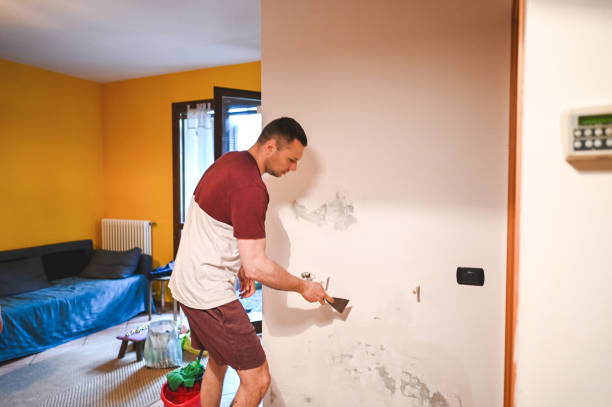 Best Mold Testing  in Roanoke, VA